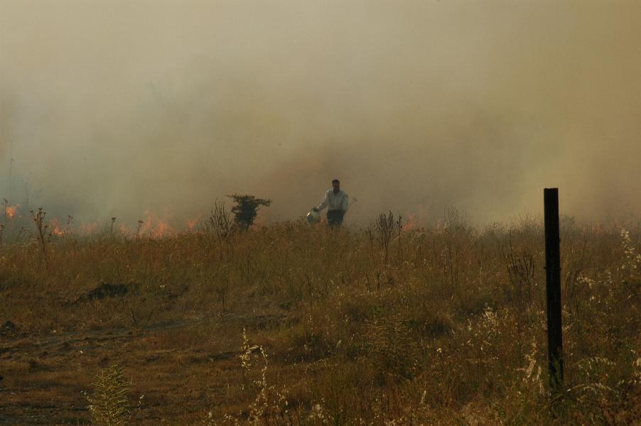 incendiofrascineto_ridotto20026