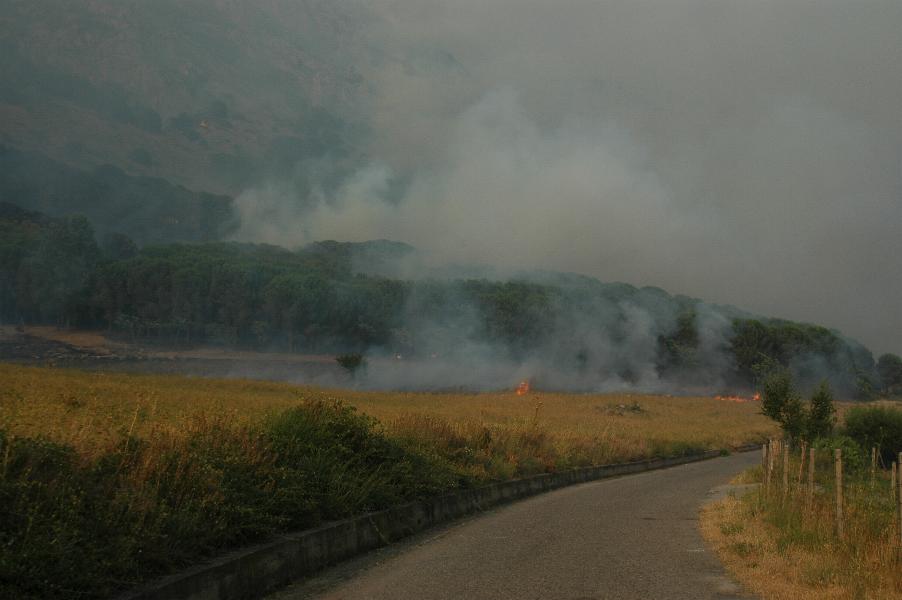 incendiofrascineto_ridotto20034